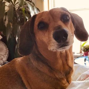 ❤️BEST WISHES TO ALL ANIMAL LOVERS!❤️